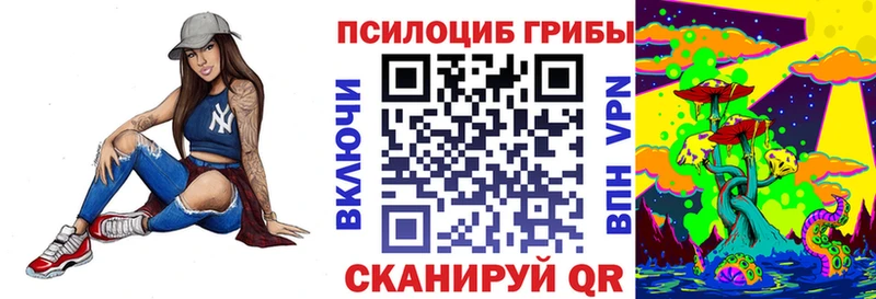 Купить закладки  Чегем  Псилоцибиновые грибы Cubensis 